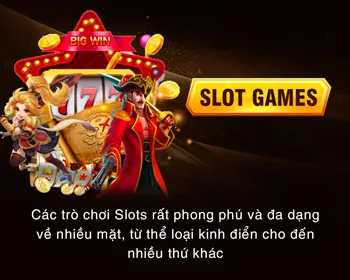Cấp độ VIP Bạch Kim onbet link